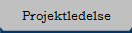 Projektledelse